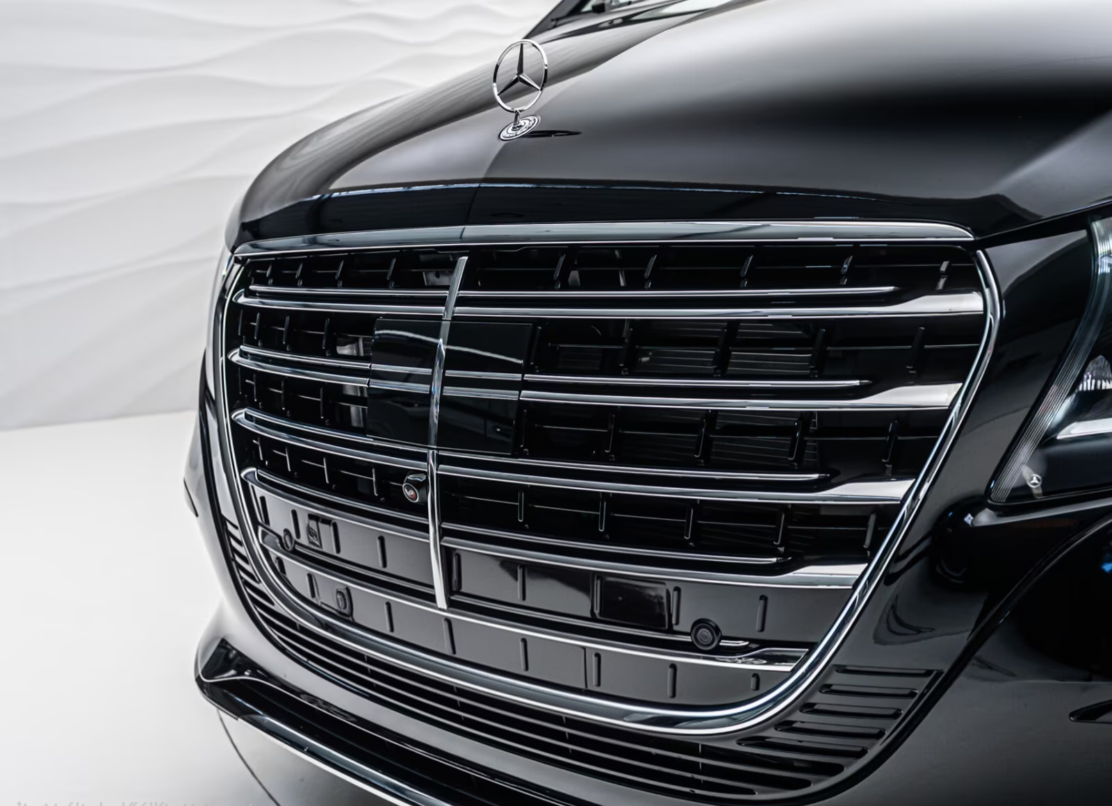 Mercedes V300d VIP (10)